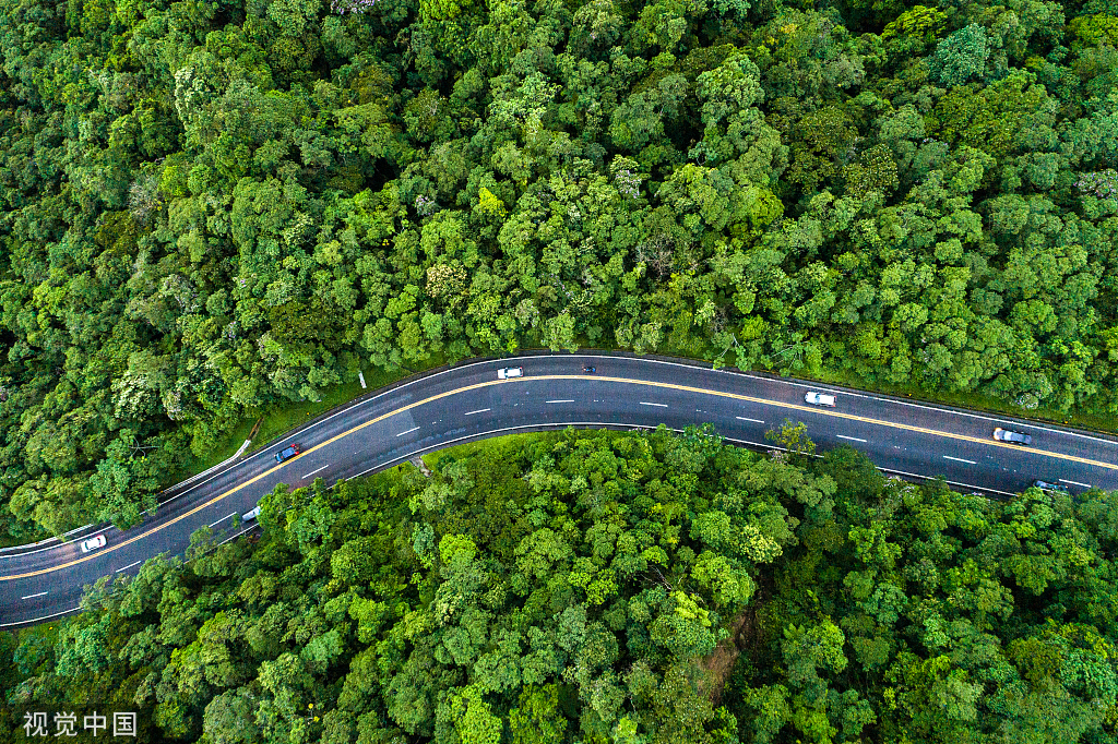 福利請(qǐng)查收丨點(diǎn)亮團(tuán)圓路，與愛相伴同心同行！