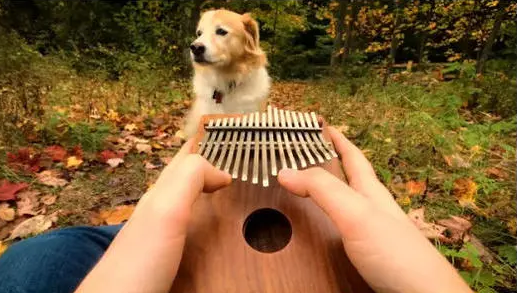 河畔有約丨看見指尖藝術(shù)，聆聽幻彩音符！